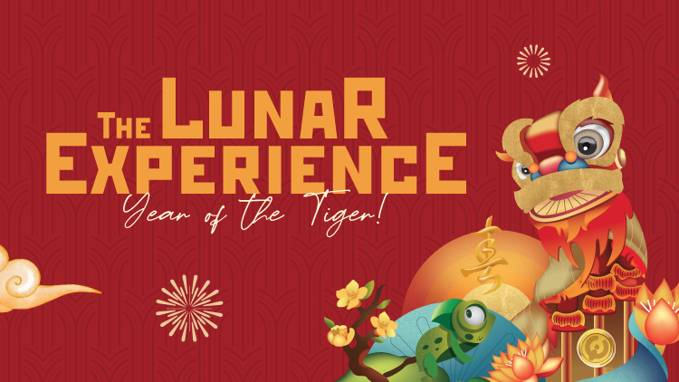 the-lunar-experience